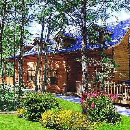 Cabins At Grand Mountain By Thousand Hills Resort Бренсон Екстер'єр фото